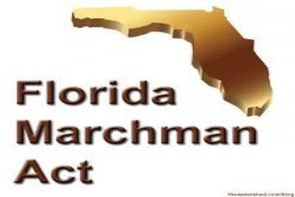 Marchman Act Basics