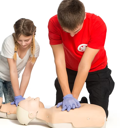 America Red Cross - Adult Child and Baby First Aid/CPR/AED Online - Skills session not Included